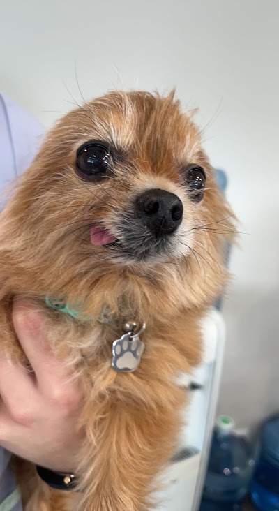 Hillchester Animal Hospital